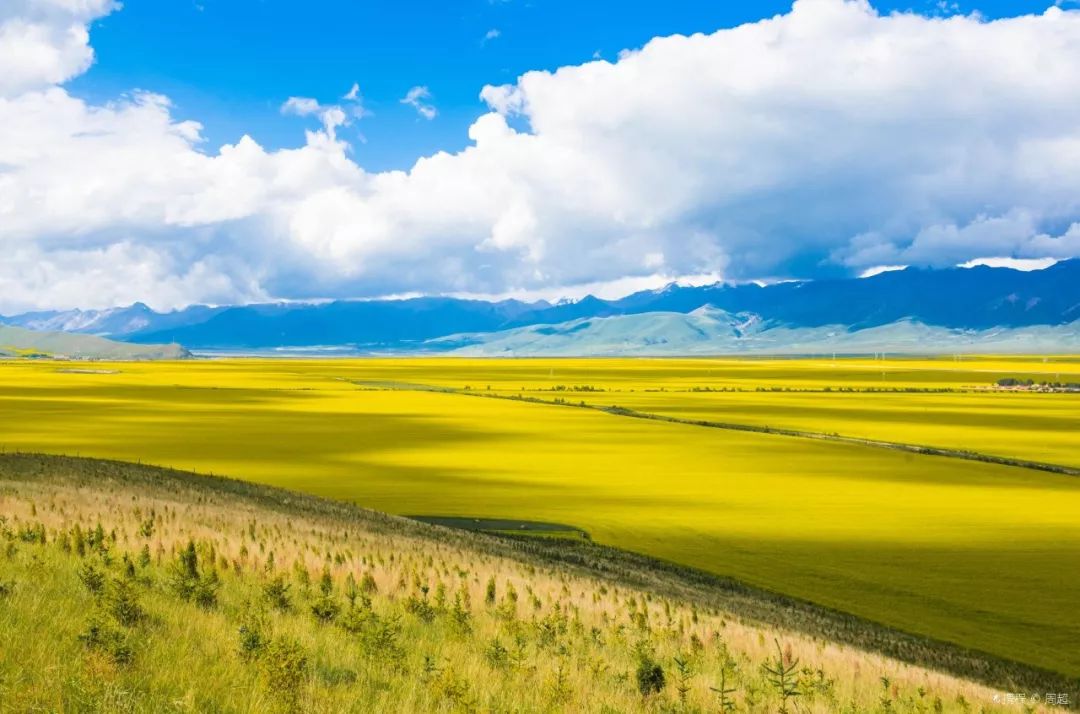 揭秘高原明珠青海,无限魅力的展现