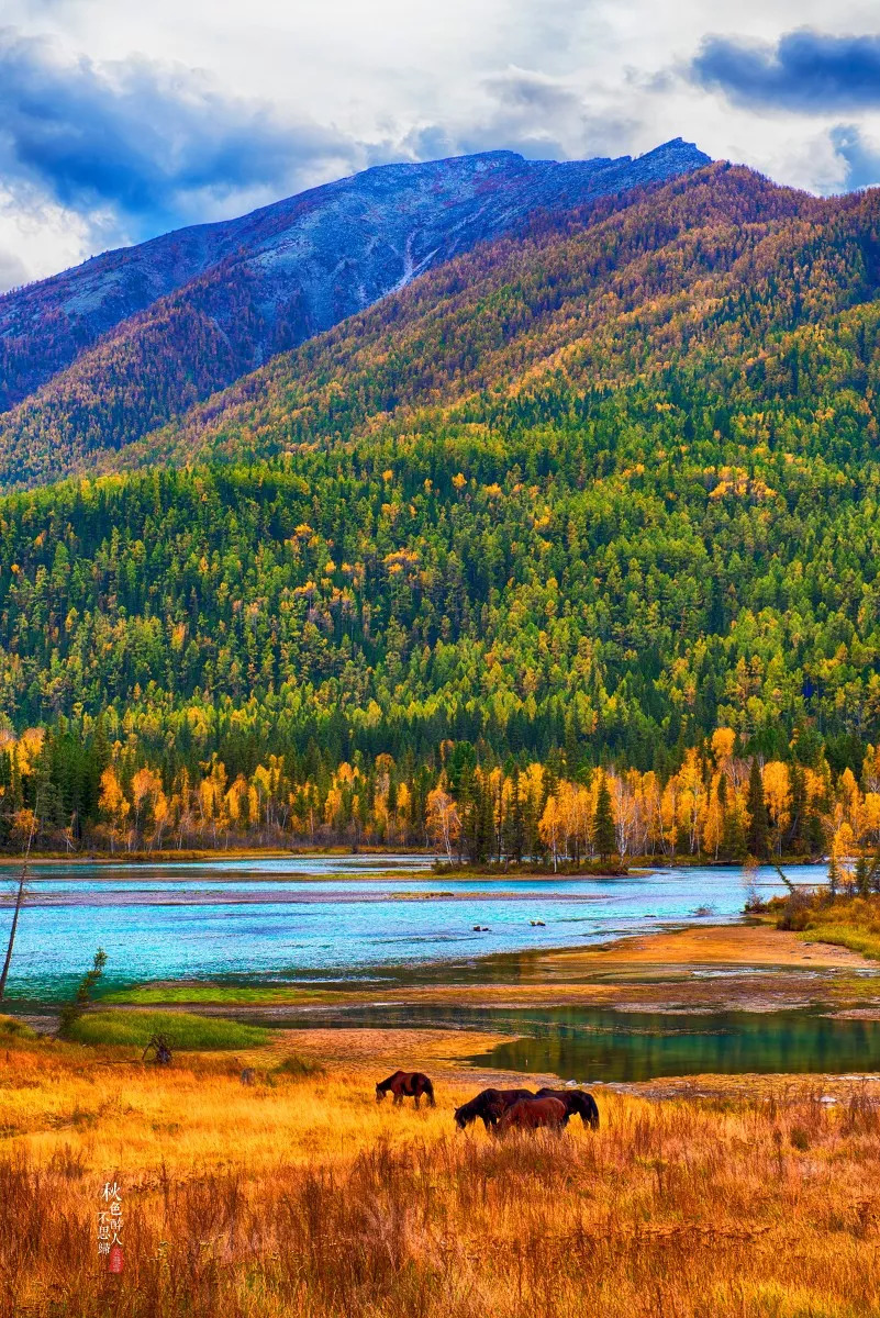 多元文化交融的边疆明珠——新疆